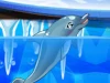 Mijn Dolfijnen Show 8