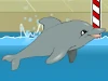 Mijn Dolfijnen Show